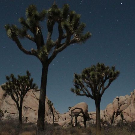 29 Hillside By Jtnp Visitor Center Βίλα Twentynine Palms Εξωτερικό φωτογραφία