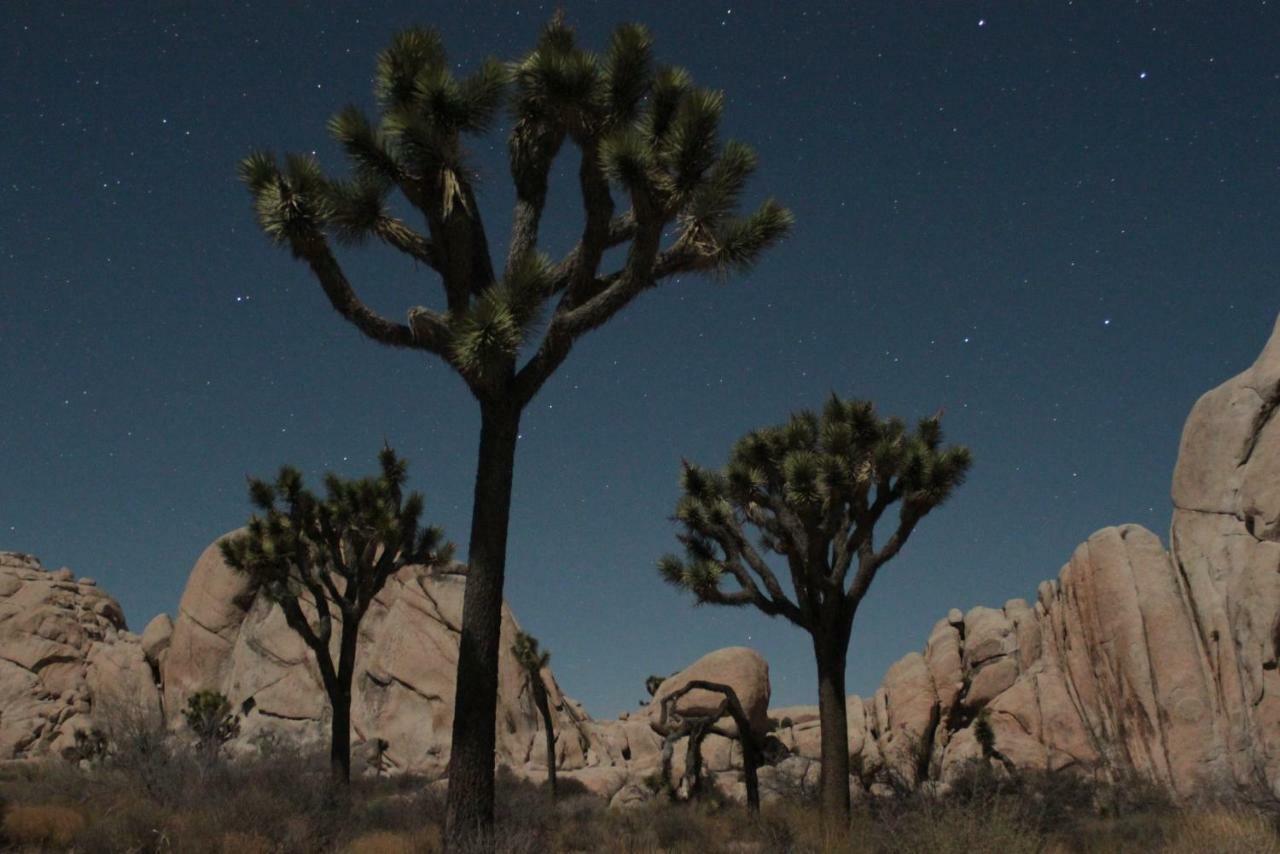 29 Hillside By Jtnp Visitor Center Βίλα Twentynine Palms Εξωτερικό φωτογραφία